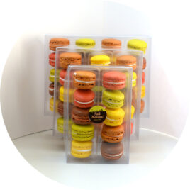 Une boîte élégante contenant des macarons colorés, bien présentés, parfaite pour un cadeau raffiné ou un moment gourmand.