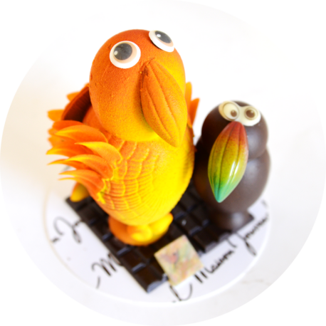 duo toucanperroquet