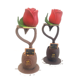 Rose en chocolat